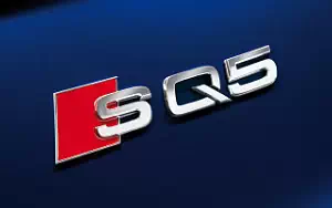   Audi SQ5 TDI - 2012