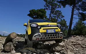   Fiat Panda Cross - 2014