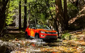   Jeep Compass Trailhawk - 2017