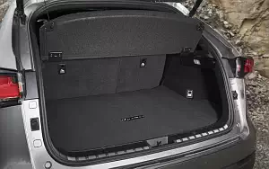   Lexus NX 300 F SPORT CA-spec - 2017