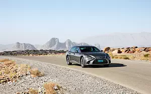   Lexus LS 500h AWD (Manganese Luster) - 2017