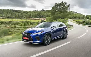   Lexus RX 300 (Blue) - 2019
