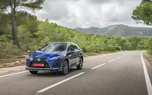   Lexus RX 300 (Blue) - 2019