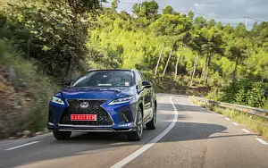   Lexus RX 300 (Blue) - 2019