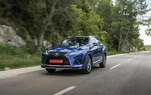   Lexus RX 300 (Blue) - 2019