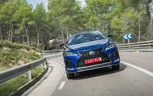   Lexus RX 300 (Blue) - 2019