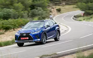   Lexus RX 300 (Blue) - 2019