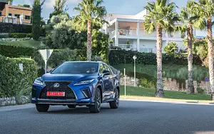   Lexus RX 300 (Blue) - 2019