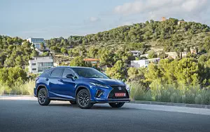  Lexus RX 300 (Blue) - 2019