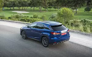   Lexus RX 300 (Blue) - 2019