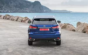   Lexus RX 300 (Blue) - 2019