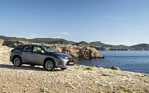   Lexus RX 350 (Grey) - 2019