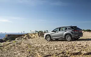   Lexus RX 350 (Grey) - 2019