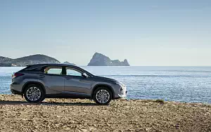   Lexus RX 350 (Grey) - 2019