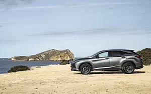  Lexus RX 450h (Grey) - 2019