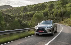   Lexus RX 450h (Silver) - 2019