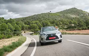   Lexus RX 450h (Silver) - 2019