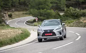   Lexus RX 450h (Silver) - 2019
