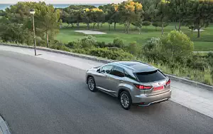   Lexus RX 450h (Silver) - 2019