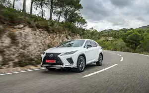   Lexus RX 450h (White) - 2019