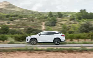   Lexus RX 450h (White) - 2019