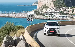   Lexus RX 450h (White) - 2019