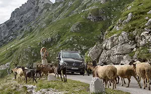   Mercedes-Benz Marco Polo 250 BlueTEC - 2014