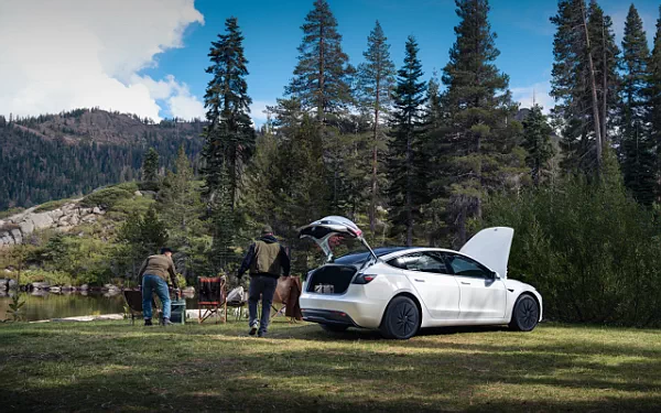 ���� ���������� Tesla Model 3 Standard - 2025