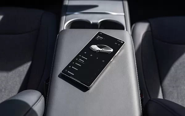 ���� ���������� Tesla Model 3 Standard - 2025