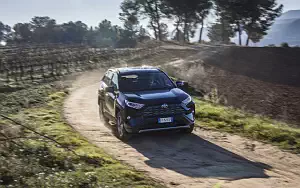   Toyota RAV4 Hybrid - 2019